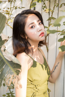 数码宝贝重启